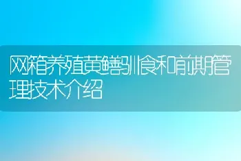 网箱养殖黄鳝驯食和前期管理技术介绍