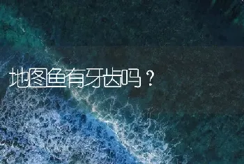 地图鱼有牙齿吗？