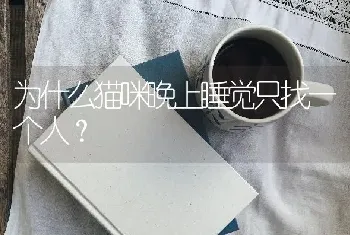 为什么猫咪晚上睡觉只找一个人？