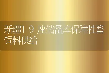 新疆19座储备库保障牲畜饲料供给