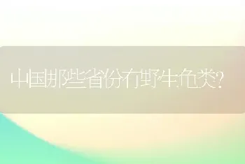 中国那些省份有野生龟类？