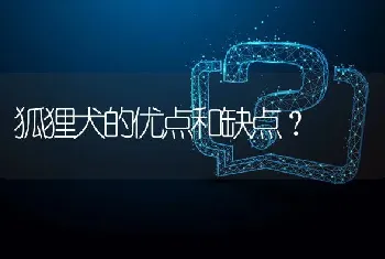 狐狸犬的优点和缺点？