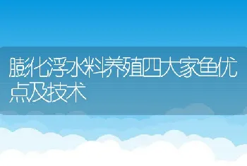 膨化浮水料养殖四大家鱼优点及技术