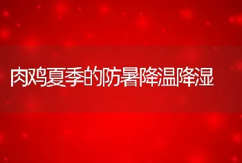 大口鲶池塘无公害精养高产技术