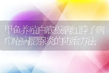 甲鱼养殖白底板病红脖子病疖疮病腮腺炎的防治方法