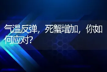 气温反弹，死蟹增加，你如何应对？