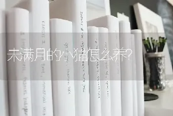 3个月左右的狗狗没有注射疫苗，得了细小病毒，打了针以后没有精神，又吐了黄水，不会死掉吧？