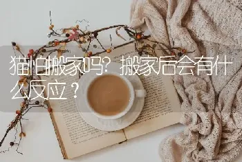 猫怕搬家吗?搬家后会有什么反应？