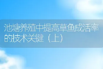 池塘养殖中提高草鱼成活率的技术关键（上）