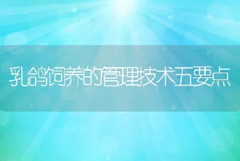 2010年中国饲料企业领军人物及优秀创业人