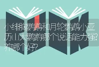 小绯胸鹦鹉和月轮鹦鹉小亚历山大鹦鹉哪个说话能力强?养哪个好？