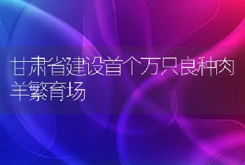 甘肃省建设首个万只良种肉羊繁育场