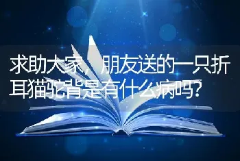 求助大家，朋友送的一只折耳猫驼背是有什么病吗？