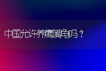 中国允许养鹰嘴龟吗？