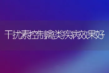 干扰素控制禽类疾病效果好