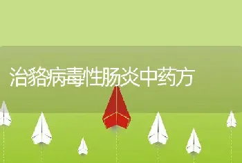 种公鸡饲养的技术措施