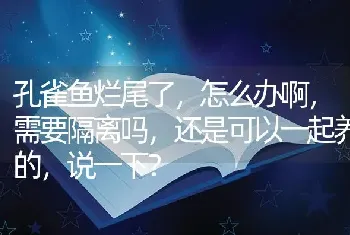 孔雀鱼烂尾了，怎么办啊