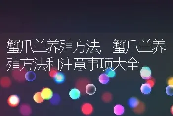 蟹爪兰养殖方法，蟹爪兰养殖方法和注意事项大全