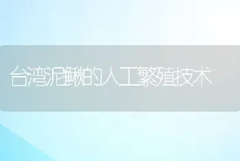 台湾泥鳅的人工繁殖技术