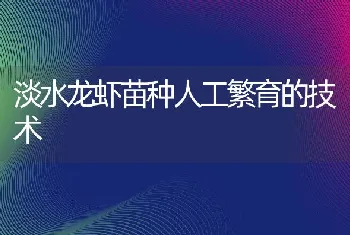 淡水龙虾苗种人工繁育的技术