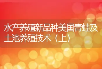 水产养殖新品种美国青蛙及土池养殖技术（上）