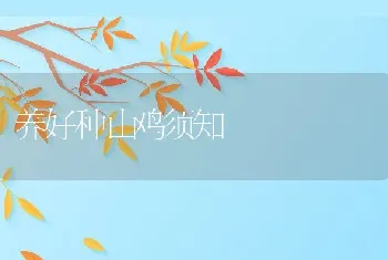 关于乌梢蛇的加工技术