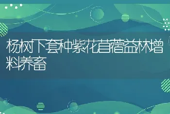 黄鳝病害的防治技术