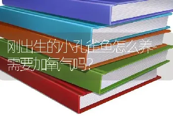 比较容易养的热带鱼最常见的几种热带鱼？