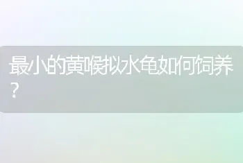 小乌龟一般能活多久？