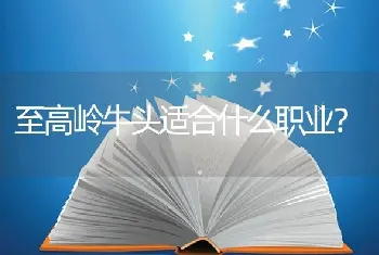 至高岭牛头适合什么职业？