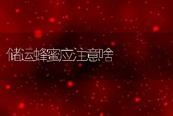 山区池塘主养斑点叉尾鮰初试