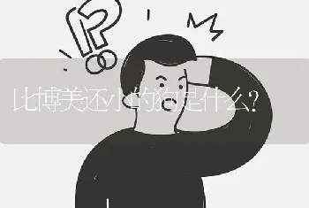 比博美还小的狗是什么？