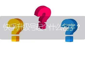 快手升级号起个什么名字？