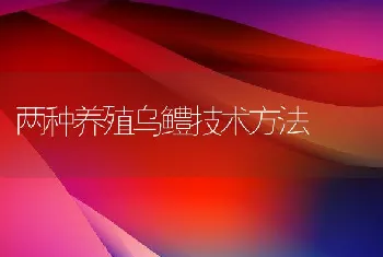 两种养殖乌鳢技术方法