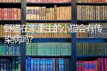 野猫在家里生的小猫会有传染病吗？