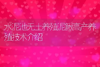水泥池无土养殖泥鳅高产养殖技术介绍