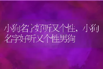 小狗名字好听又个性，小狗名字好听又个性男狗