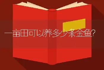 北方家里养孔雀鱼水温最好在多少左右？