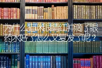 为什么猫咪眼睛红肿滴了眼药水好了怎么又复发了呢？