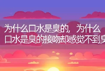 为什么口水是臭的，为什么口水是臭的接吻却感觉不到臭