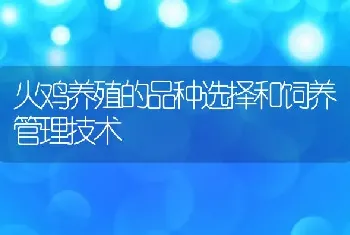 火鸡养殖的品种选择和饲养管理技术