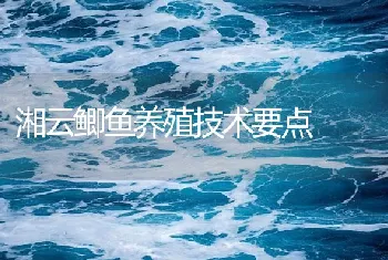 湘云鲫鱼养殖技术要点