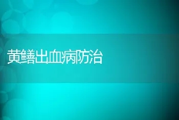 黄鳝出血病防治