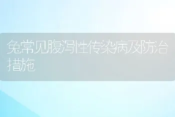 兔常见腹泻性传染病及防治措施