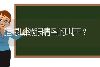 暗绿母绣眼睛鸟的叫声？