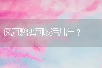 公猫多久可以做绝育？