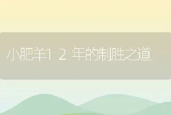 小肥羊12年的制胜之道