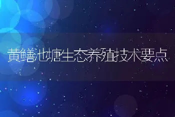 黄鳝池塘生态养殖技术要点