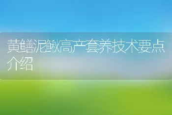 黄鳝泥鳅高产套养技术要点介绍