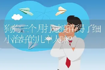 狗狗三个月打过疫苗得了细小治好的几率大嘛？